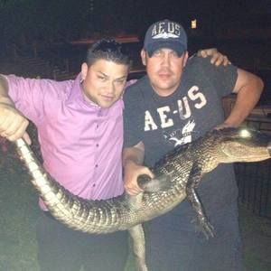 Meet your Posher, Donald